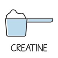 creatine